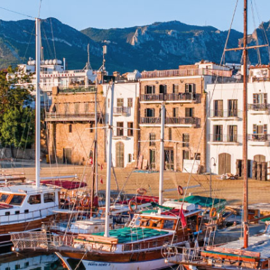 harbour-banner